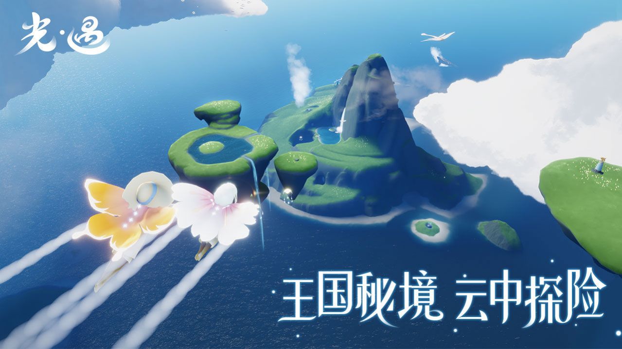 10065008cxx0.gif