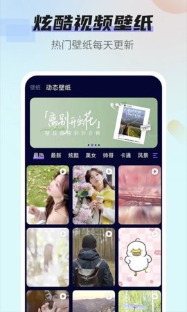 番茄动态壁纸下载ios版