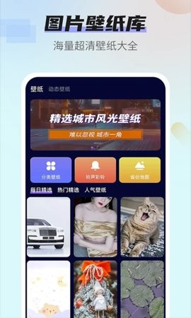 番茄动态壁纸下载ios版