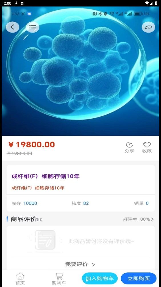 赛尔盛易下载安装2024