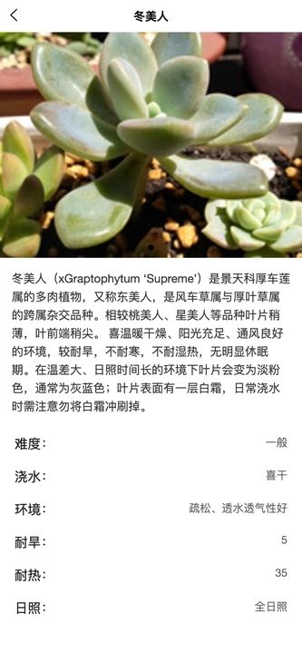 旭日植物最新下载免费版
