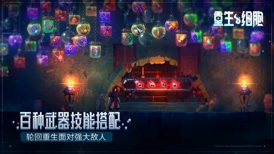 重生细胞免费版完整版中文2025版下载