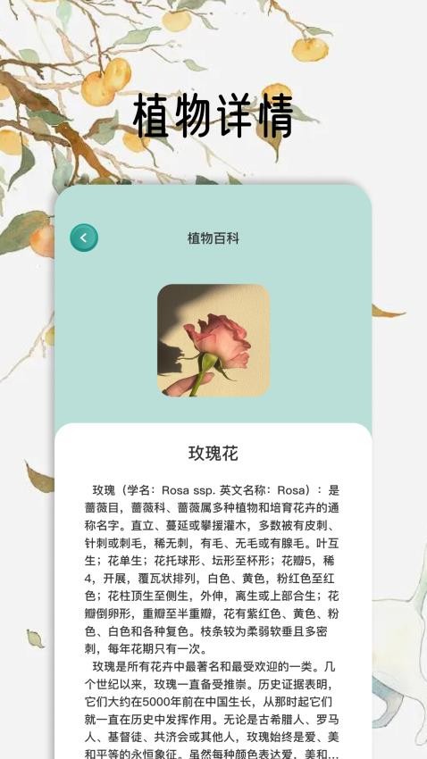 花草秒识别app