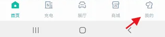 《埃安》申报私桩方法