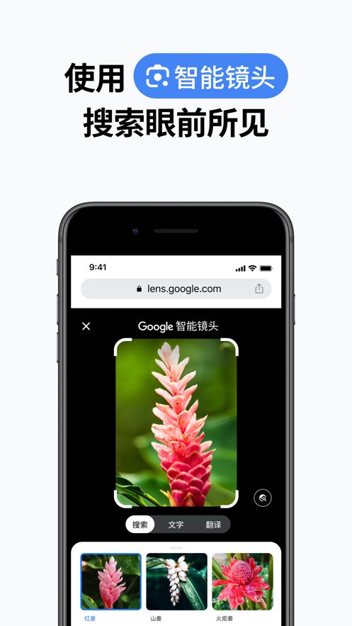 谷歌浏览器最新版本官方下载安装图片1