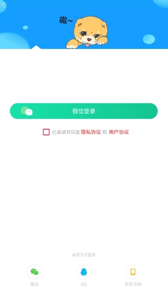 内个段仔软件