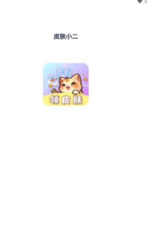 皮肤小二2025最新版下载