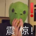 绿头鱼表情包免费手机版