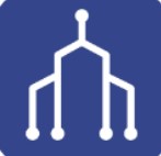 词根单词最新版2025安卓版