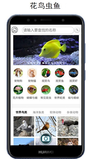 万物识别软件