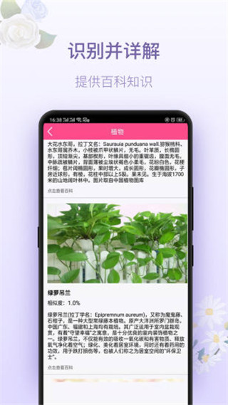 拍照识花神器下载