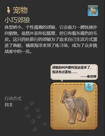 《最终幻想14水晶世界》小巧郊狼宠物获得方法