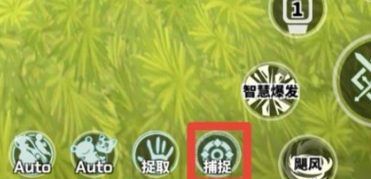 《超数据世界》宠物捕捉技巧