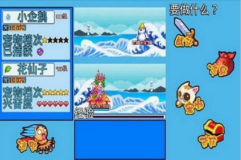 宠物王国5彩虹上帝版2025安卓版下载