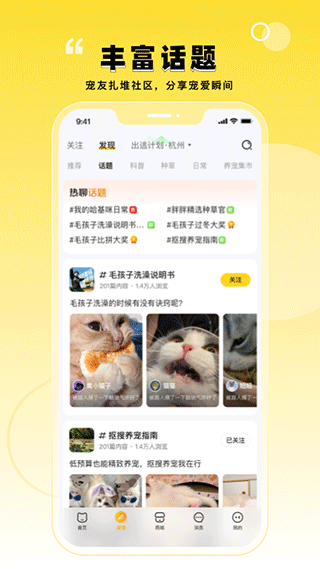 宠胖胖app