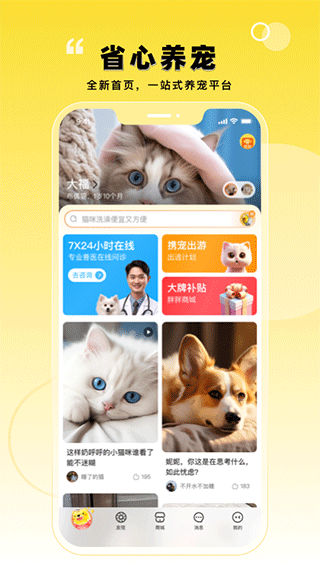 宠胖胖app