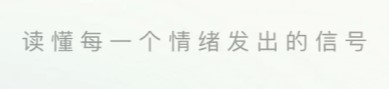 岁岁