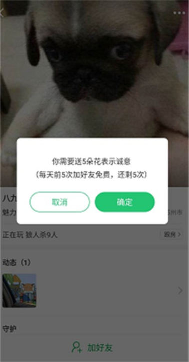 会玩app