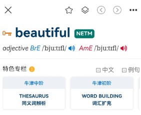 新牛津英汉双解大词典