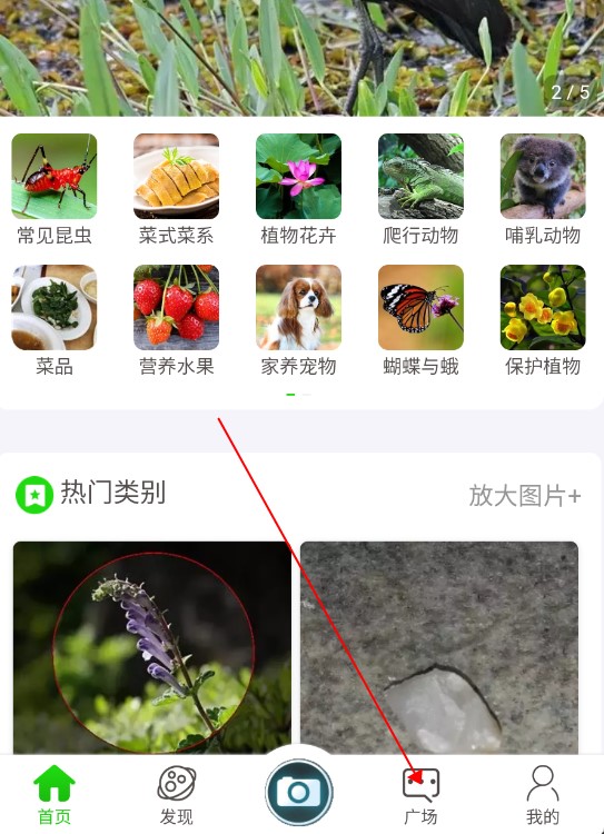 万物识别