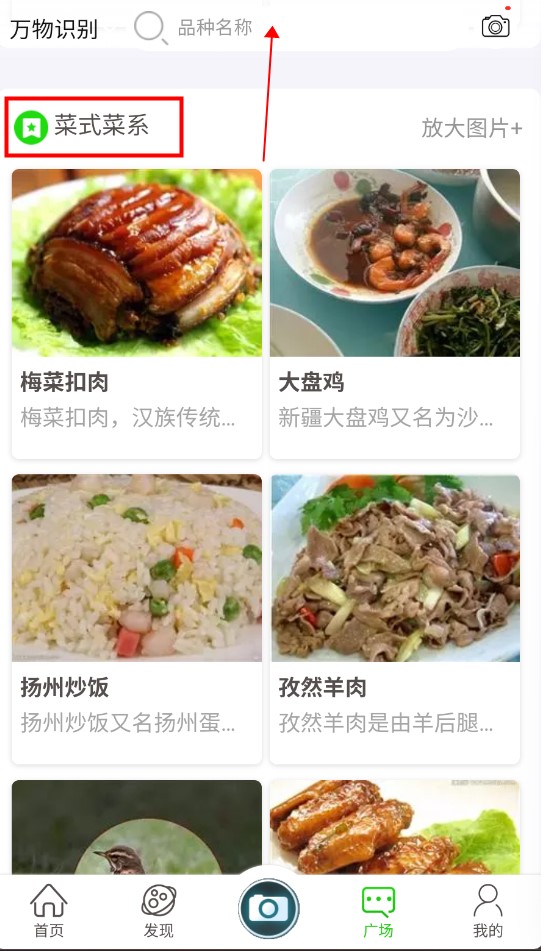 万物识别