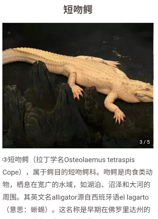 万物识别