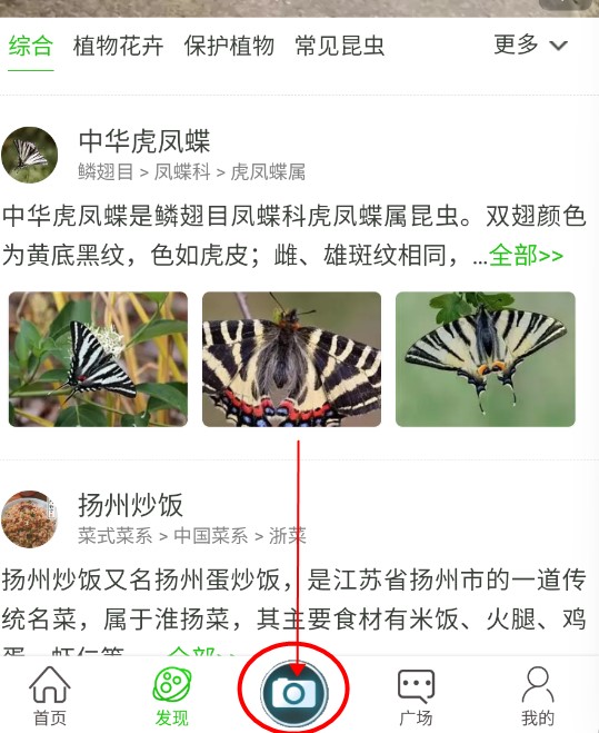 万物识别