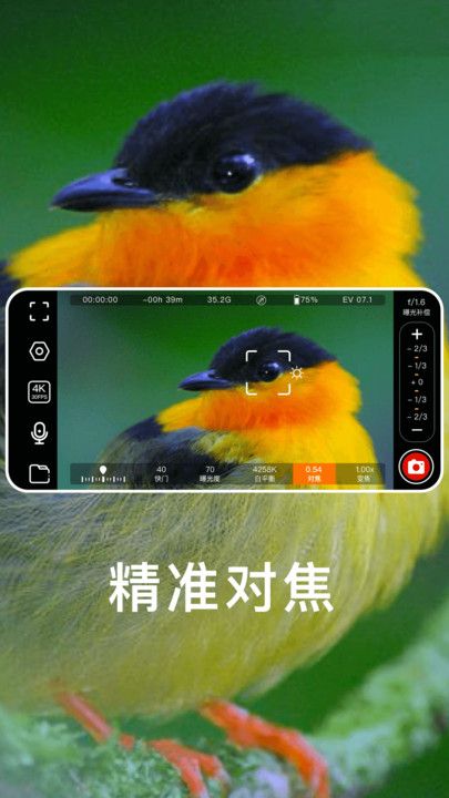 快映拍摄最新安卓下载