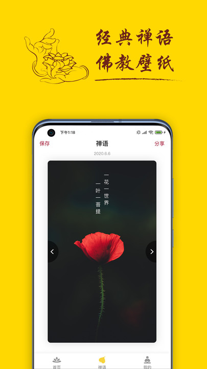 神奇青蛙2025版最新下载
