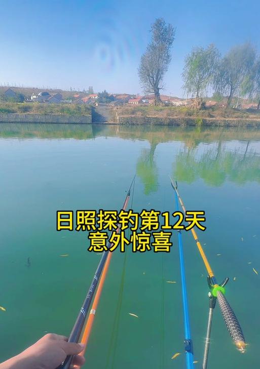 钓鱼训练师怎么玩？钓鱼训练师的玩法和技巧是什么？
