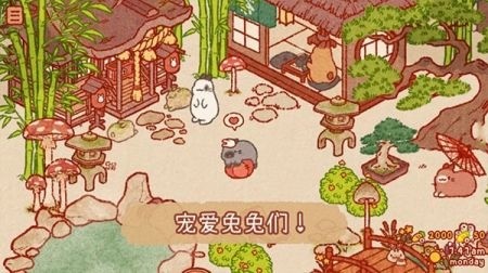 兔兔岛官方下载安卓2025最新版