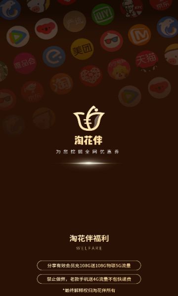 淘花伴下载安装安卓版本