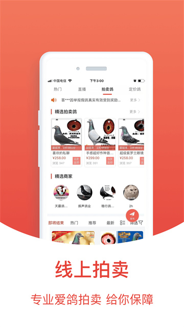 搜鸽天下软件