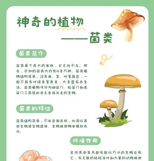 探秘我的世界菌丝的神奇用途（菌丝不仅仅是装饰）