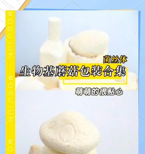 探秘我的世界菌丝的神奇用途（菌丝不仅仅是装饰）