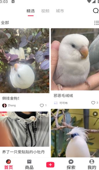 爱鸟仁最新版本下载