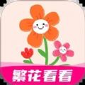 繁花看看2025安卓下载