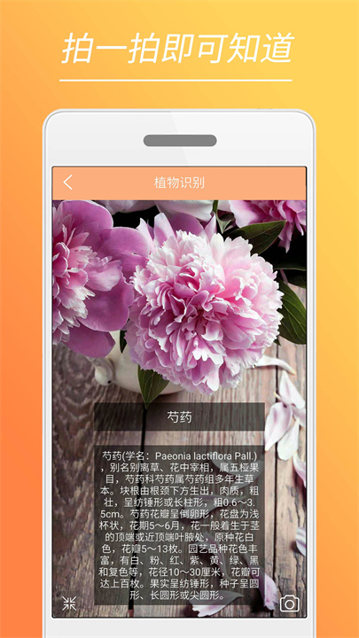 时光美图app