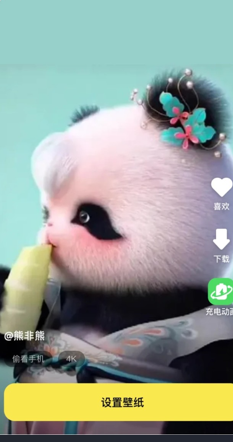 悟空壁纸软件手机版