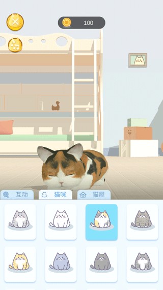 怎么养猫截图4