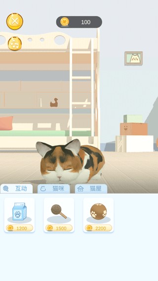 怎么养猫截图3