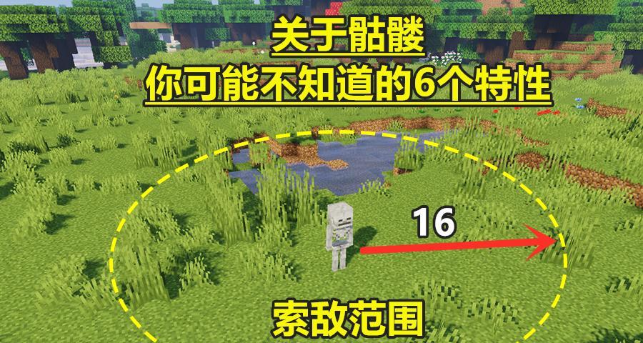 《我的世界小白打杀指南》（从零到英雄）