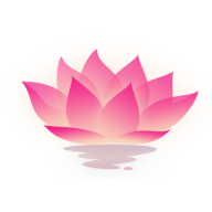 荷花工具箱2025版本下载安装