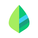 薄荷记账旧版本安卓版下载2026版