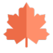 枫叶音乐播放器2026最新版下载