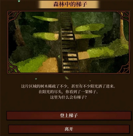 《火山的女儿再度重逢》绿洲森林探索随机事件选择攻略