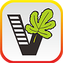 我要自学网软件下载2026