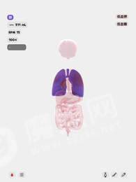 生命life中文版下载安装最新版