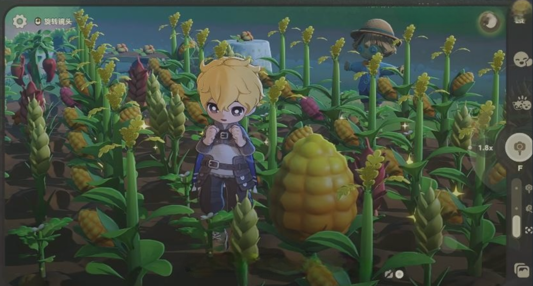 《星布谷地》变异果实获取攻略